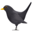 black bird Emoji (Apple)