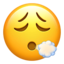 face exhaling Emoji (Apple)