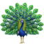 peacock Emoji (Apple)