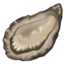 osztriga Emoji (Apple)