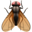 fly Emoji (Apple)