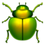 beetle Emoji (Apple)