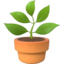 vaso com planta Emoji (Apple)