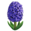 hyacinth Emoji (Apple)