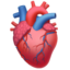 anatomical heart Emoji (Apple)