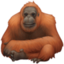 orangutan Emoji (Facebook)