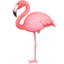 flamingo Emoji (Facebook)