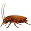 cockroach Emoji (Facebook)