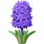 hyacinth Emoji (Facebook)