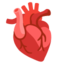 anatomical heart Emoji (Google)