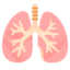 lungs Emoji (Google)