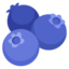 blueberries Emoji (Google)