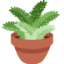 potted plant Emoji (Twitter, TweetDeck)