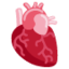 anatomical heart Emoji (Twitter, TweetDeck)